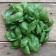333210-basilicum-genovese-original