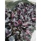 333660-basilicum-opal-dark-opal