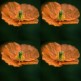 543970-papaver-atlanticum