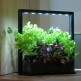 810100-plantenverlichting-mini-farm-m10