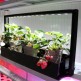 810110-plantenverlichting-mini-farm-m20