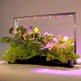 810120-plantenverlichting-mini-farm-m30