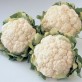 138280-winterbloemkool-eva-rz