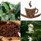 347790-koffie-arabische-nana