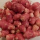 409159-oca-bubble-gum