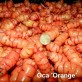 409164-oca-orange-admirable-sillustani
