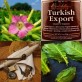 542560-nicotiana-tabacum-samsun