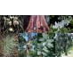 643590-eucalyptus-cold-climate-mix