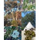 643596-eucalyptus-temperate-mix