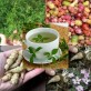 880144-gezondheid-uit-een-plantje