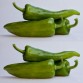 207860-peper-anaheim-sonora-anaheim