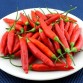 207929-peper-birgit-locoto