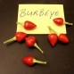 207970-peper-burbeye-burb-eye