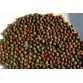645830-pistacia-terebinthus