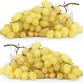 821583-pitloze-witte-druif-centennial