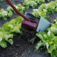870015-loofkappen-voor-rolschoffels