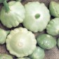 207570-patisson-patty-green-tint-f1-peter-pan-f1-benning-green-tint