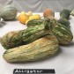 213145-pompoenen-alligator
