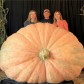 213204-pompoenen-atlantic-giant-super-selectie
