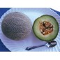 202210-cantaloupmeloen-green-nutmeg
