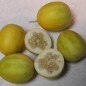 202700-appelmeloen-aka-vine-peach