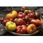 295909-heirloom-collectie-schaarse-varieteiten
