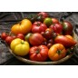 295910-heirloom-collectie-10-schaarse-varieteiten