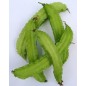 311010-vleugelboon-climbing-thuong-hai