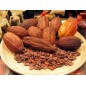 831270-cacaoboom