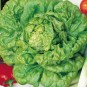 252950-kropsla-zwart-duits-hjerter-es-furchtenichts-all-the-year-round-passe-partout