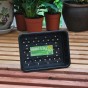 809035-zaaibakjes-small-g18-23x17x6