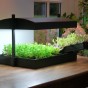 809390-plantenverlichting-grow-light-garden-g139