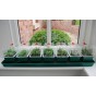 809445-zaaikasjes-self-watering-seven-g136