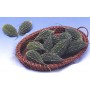 002200-alsempeer-karela-type-indra-f1-new-moon-f1