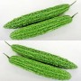 002570-alsempeer-torapi-f1-ky-green-f1-jasper-f1-best-165-f1