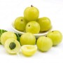 004500-amla-amalaki