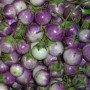 015190-aubergine-mini-violet-ruby-f1