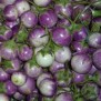 015190-aubergine-mini-violet-ruby-f1
