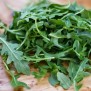 242000-rucola