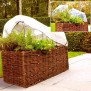 845290-wilgen-plantenbak-willow-greenhouse