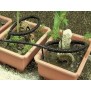 845725-watergeefsysteem-zweetslang-druppelslang-customized