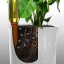 845810-watergeefsysteem-set-van-hydro-wijnfles-terra-cotta-drips