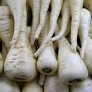 207220-pastinaken-lange-witte-holkruin