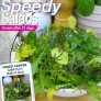 267790-gemengde-bladsalade-suffolk-punch