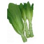 269000-stengelsla-celtuce