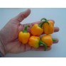 205550-paprika-coctail-yellow-f1-micro-yellow-block-f1