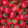 205848-paprika-mini-red-bell
