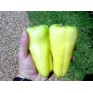 206100-paprika-super-sweet-banana-f1-gypsy-banana-f1-banana-bounty-f1