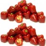 206250-paprika-tinkerbell-red