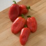 206355-paprika-yummy-red-f1-lunchbox-red-f1